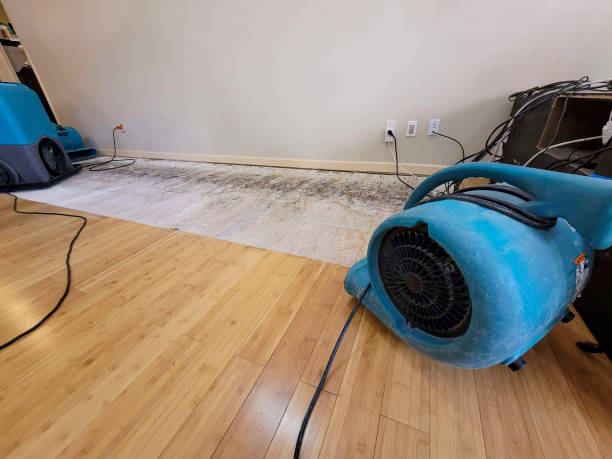 Professional Basement Flood Cleanup technician working in Perdido, AL